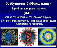 Image result for фотография вируса вич
