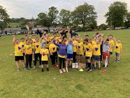 Image result for Dinas Powys Cricket Club