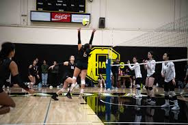 Image result for Aberlady Bays Volleyball Club