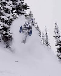 Image result for skiptondivers