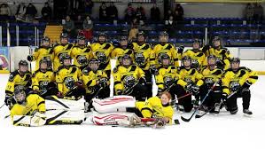 Image result for Widnes Ladies Hockey Club