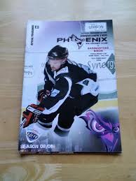 Image result for Basingstoke Bison Ice Hockey Club