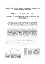 Attēlu rezultāti vaicājumam “Licea testudinacea young”