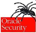 Oracle Releases Highly Critical Security Alert - Apache DoS - Blog ...