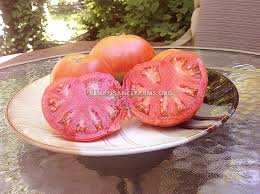 Afbeeldingsresultaat voor kosmonaut volkov 68D tomato