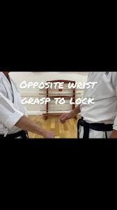 Image result for Yoseikan Budo England
