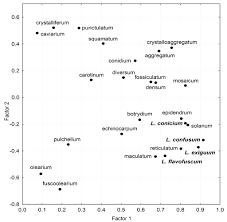 Attēlu rezultāti vaicājumam “Lycogala cf. fossiculatum”