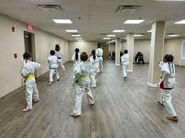 Image result for Bushin Kenpo Kai Schools