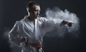 Image result for Didcot Judo and Karate Club