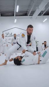 Image result for Revolution Dojo