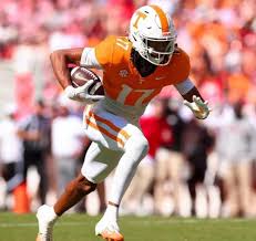 Image result for Birmingham University Lions