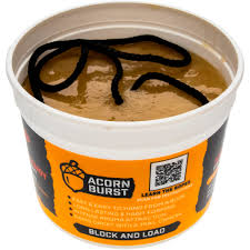 Image result for Acorn Archers