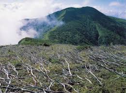 「マウンテン・ティム」の画像検索結果