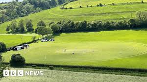 Image result for Bere Regis Cricket Club