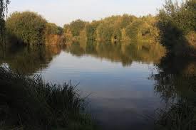 Image result for City Of London Piscatorial Society