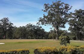 Image result for Kempsey Cc