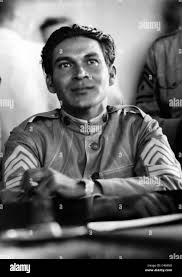 Attēlu rezultāti vaicājumam “Fuligo licentii young”