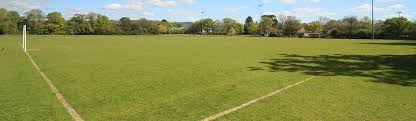 Image result for Cranleigh Football Club