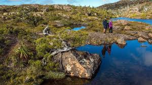 Image result for Derwent Valley Atc