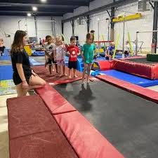 Image result for South Western Gymnastics Club