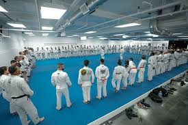 Image result for AAZENTAI JU JITSU