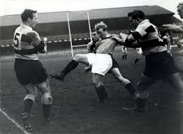 Image result for Cardiff Harlequins