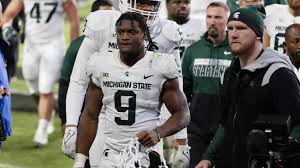 Image result for Grantham Gators