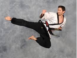 Image result for Alness Tang Soo Do
