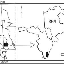 Attēlu rezultāti vaicājumam “Cladopodiella fluitans”