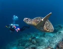 Image result for Meridian Sub-Aqua London