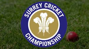Image result for South Nutfield Cricket Club