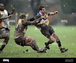 Image result for Ipswich Rfc
