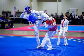 Image result for Taekwondo Athletes Program USA