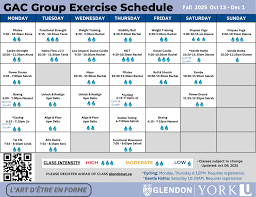 Image result for York University Aerobics Club