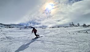 Image result for Tyneside Loipers