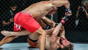 Image result for Chiltern MMA