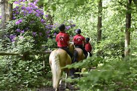 Image result for The Riding Centre