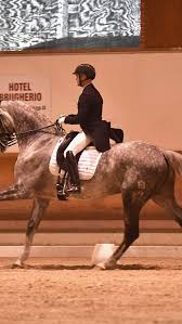 Image result for Interfreestyle Sport Karate