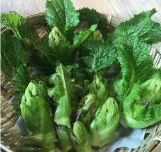 「珍宝菜」の画像検索結果