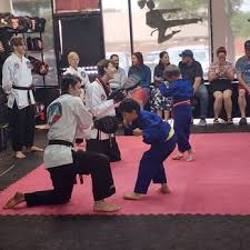 Image result for Freedom Martial Arts