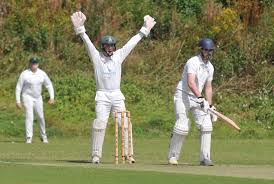 Image result for Lewdown Cricket Club