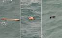 AirAsia plane reported missing with 162 passengers on board.