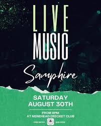 Image result for Minehead Cricket Club