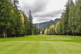 Image result for Bellingham Golf Club