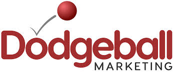 Image result for The Dodgeball Company