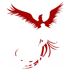 Image result for Phoenix Martial Arts