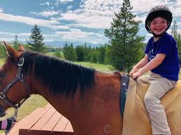 Image result for Buchan Group Riding For The Disabled