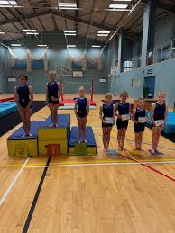 Image result for Weybridge Gymnastics