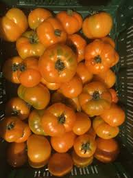 Afbeeldingsresultaat voor caro rich tomato