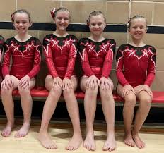Image result for Buckingham Gymnastics Club